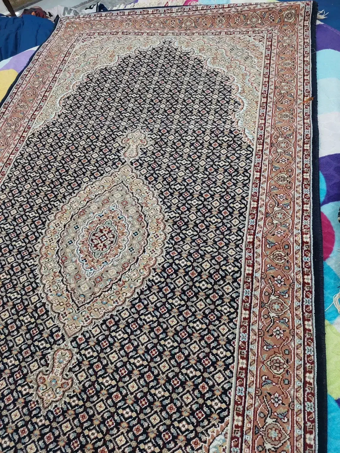 فرش راهرو|فرش|بندرعباس, |دیوار