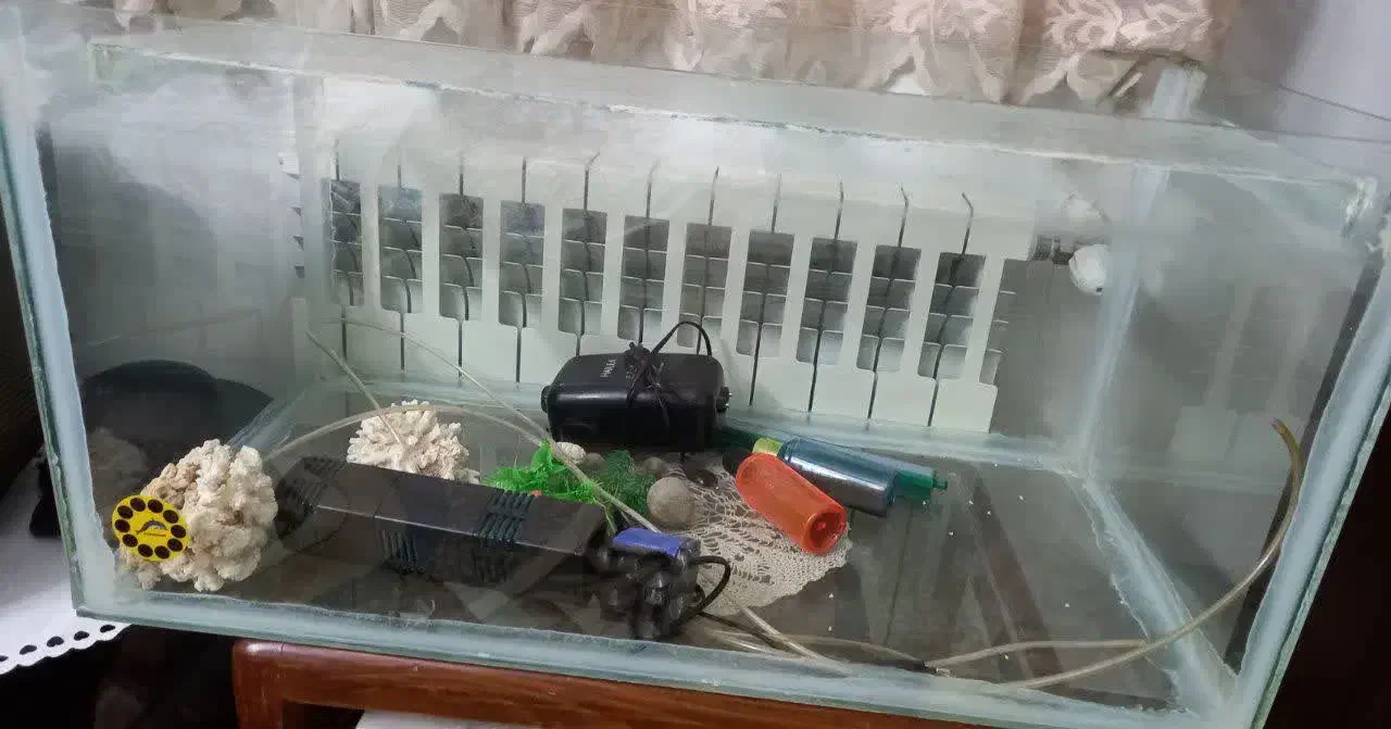 آکواریوم ، پمپ آب ، هواساز|ماهی|کرج, فاز ۴ مهرشهر|دیوار