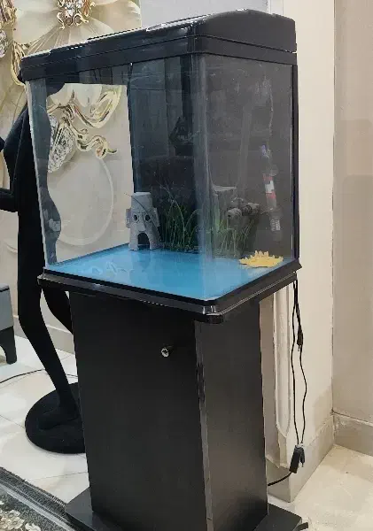 اکواریوم ماهیران|کلکسیون و سرگرمی|اسلام‌شهر, شهرک واوان|دیوار