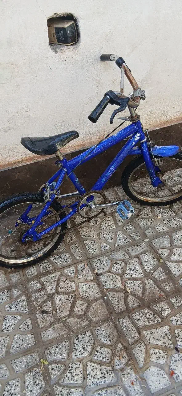 دوچرخه سالم|دوچرخه، اسکیت، اسکوتر|شاهرود, |دیوار