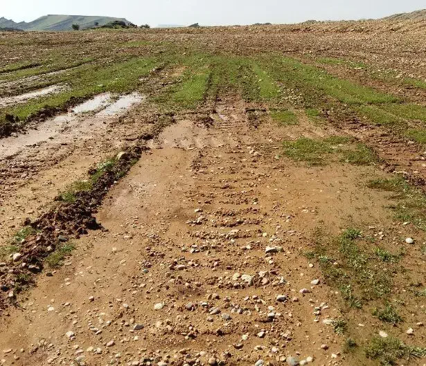 زمین به متراژ 460متر|فروش زمین و ملک کلنگی|فیرورق, |دیوار