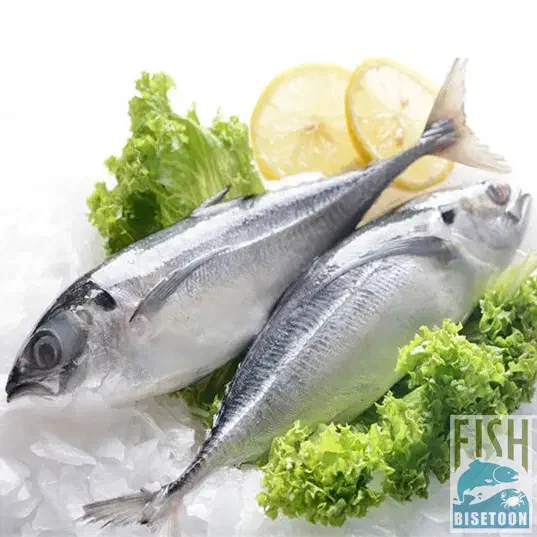 ماهی تازه جنوب رسید|خوردنی و آشامیدنی|کاشان, میدان میوه تره بار|دیوار