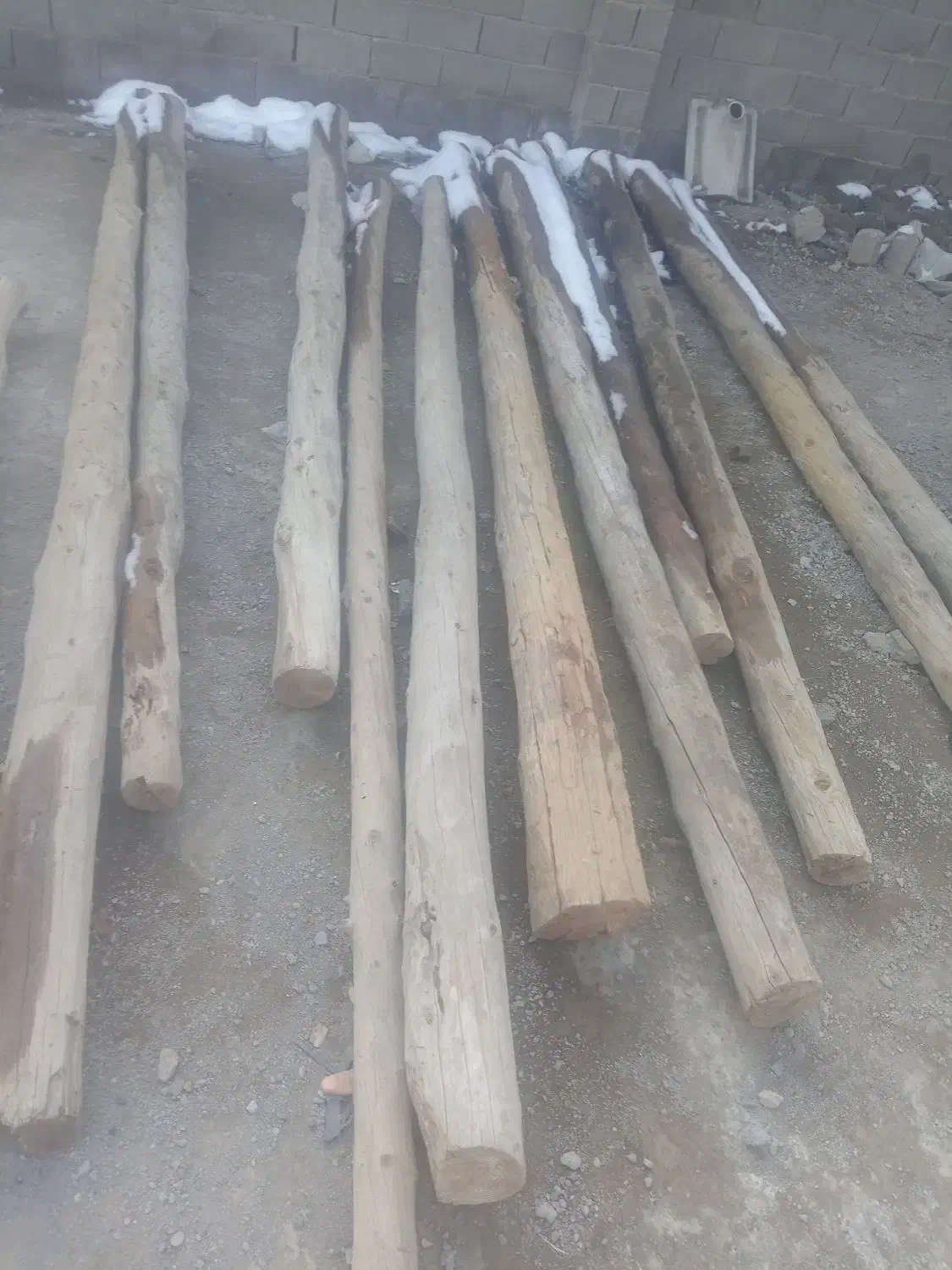 پل چوبی|حراج|تایباد, |دیوار