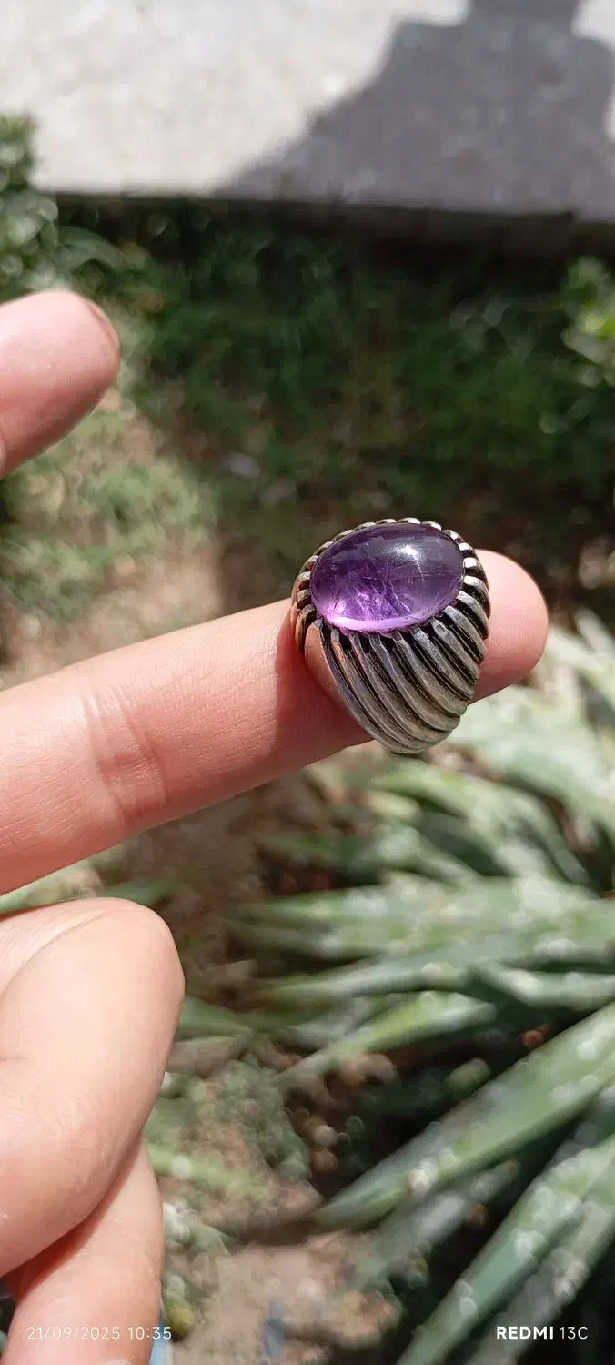 آماتیس برزیلی خوش رنگ|بدلیجات|سبزوار, امیر کبیر|دیوار