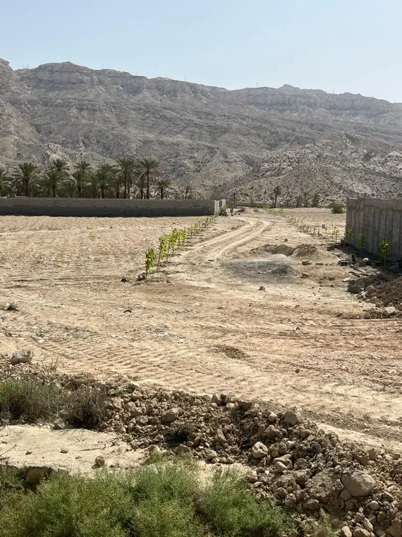 فروش زمین ۲۲۰متری|فروش زمین و ملک کلنگی|جم, |دیوار