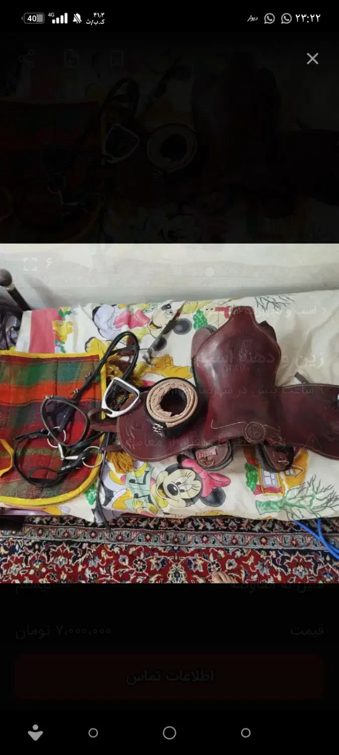 زین چرم|اسب و تجهیزات اسب‌سواری|فلارد, |دیوار