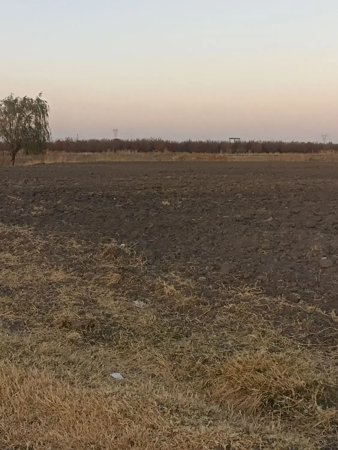 زمین آبی|اجارهٔ دفتر صنعتی، کشاورزی، تجاری|نقده, |دیوار