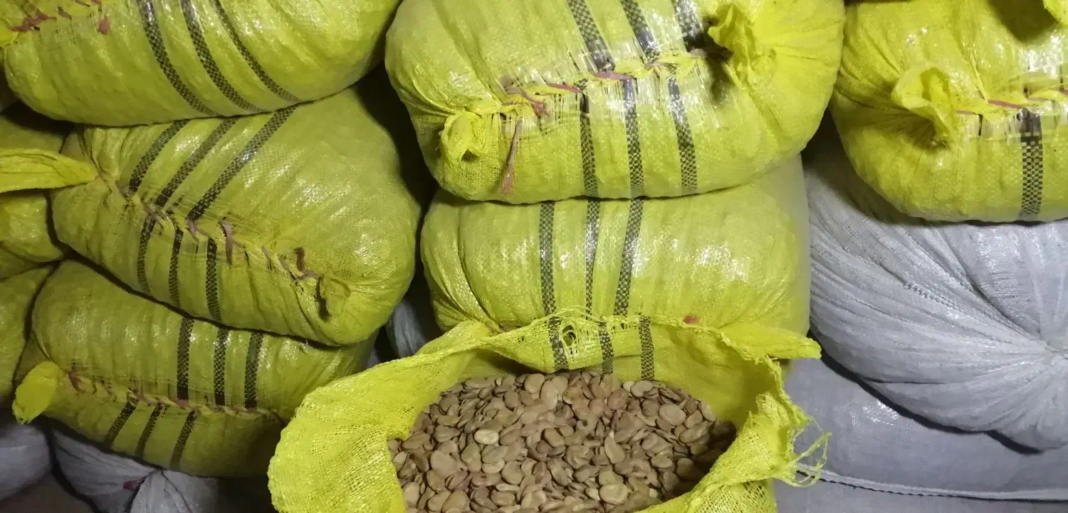 باقلا خشک تمیز و پزا، خو پخت|خوردنی و آشامیدنی|کوهی‌خیل, |دیوار