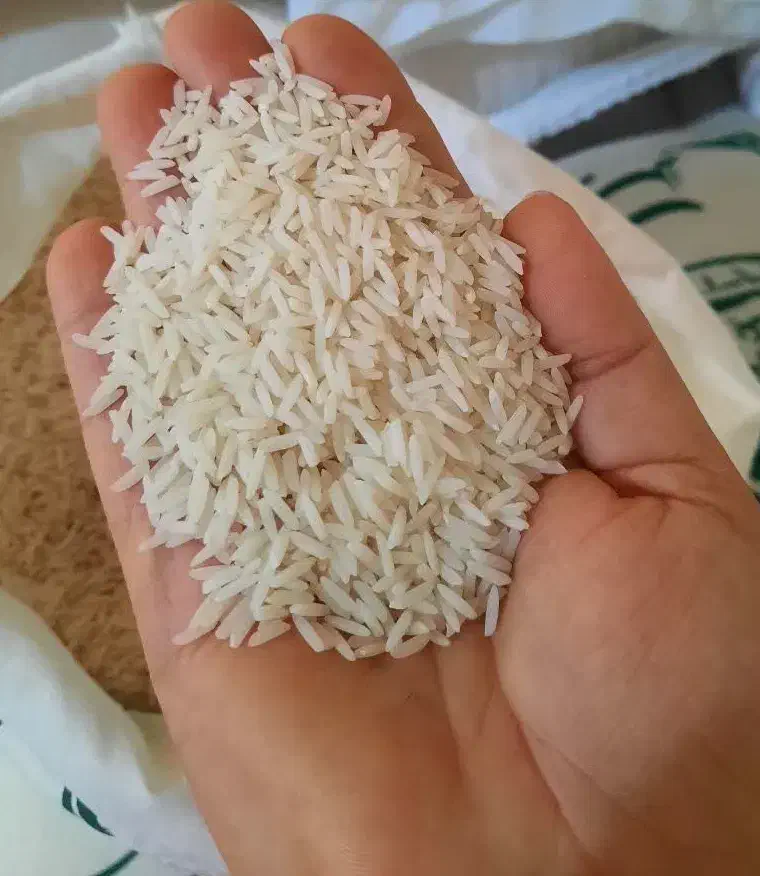 برنج دم‌سیاه ارگانیک شمال خراسان کشت خودمان|خوردنی و آشامیدنی|تهران, باشگاه نفت|دیوار