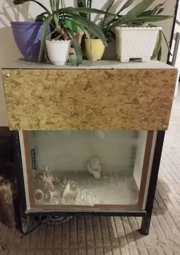 یک آکواریم بزرگ محکم|ماهی|بندرعباس, |دیوار