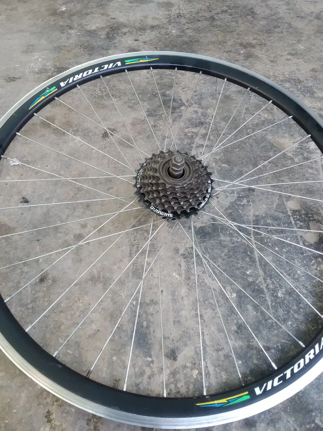 تنه دوچرخه جاپونی ورینگ|دوچرخه، اسکیت، اسکوتر|چمران, |دیوار