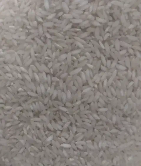 برنج و چلتک چمپای شهر میداوود|عمده‌فروشی|باغ ملک, |دیوار