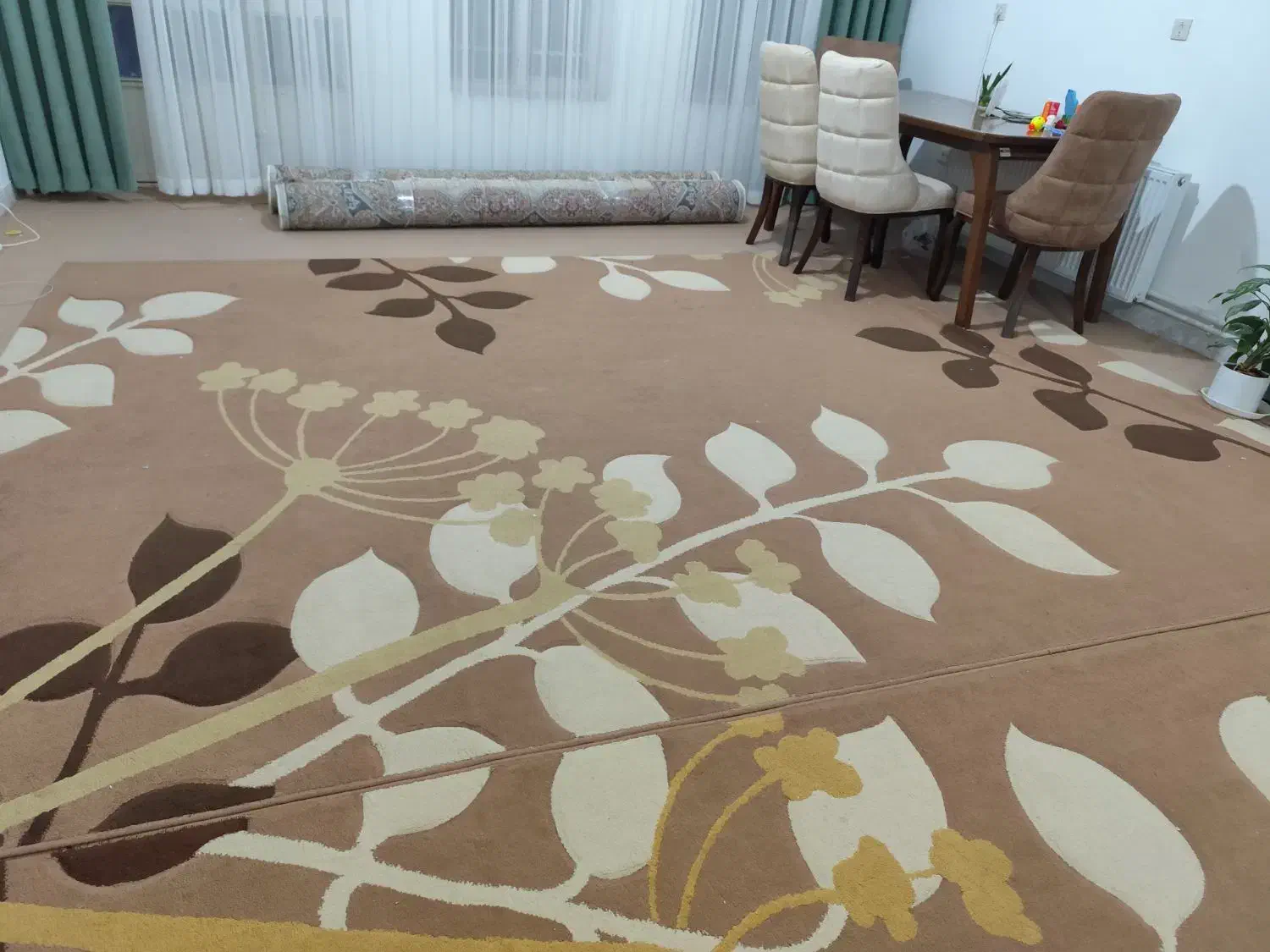 یک جفت گلیم فرش با کیفیت و زیبا ( دست دوم)|گلیم، جاجیم، گبه|کرمان, |دیوار