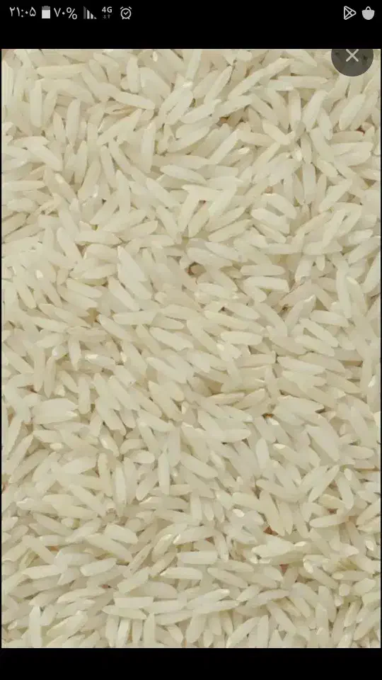 برنج استانه|خوردنی و آشامیدنی|زاویه, |دیوار