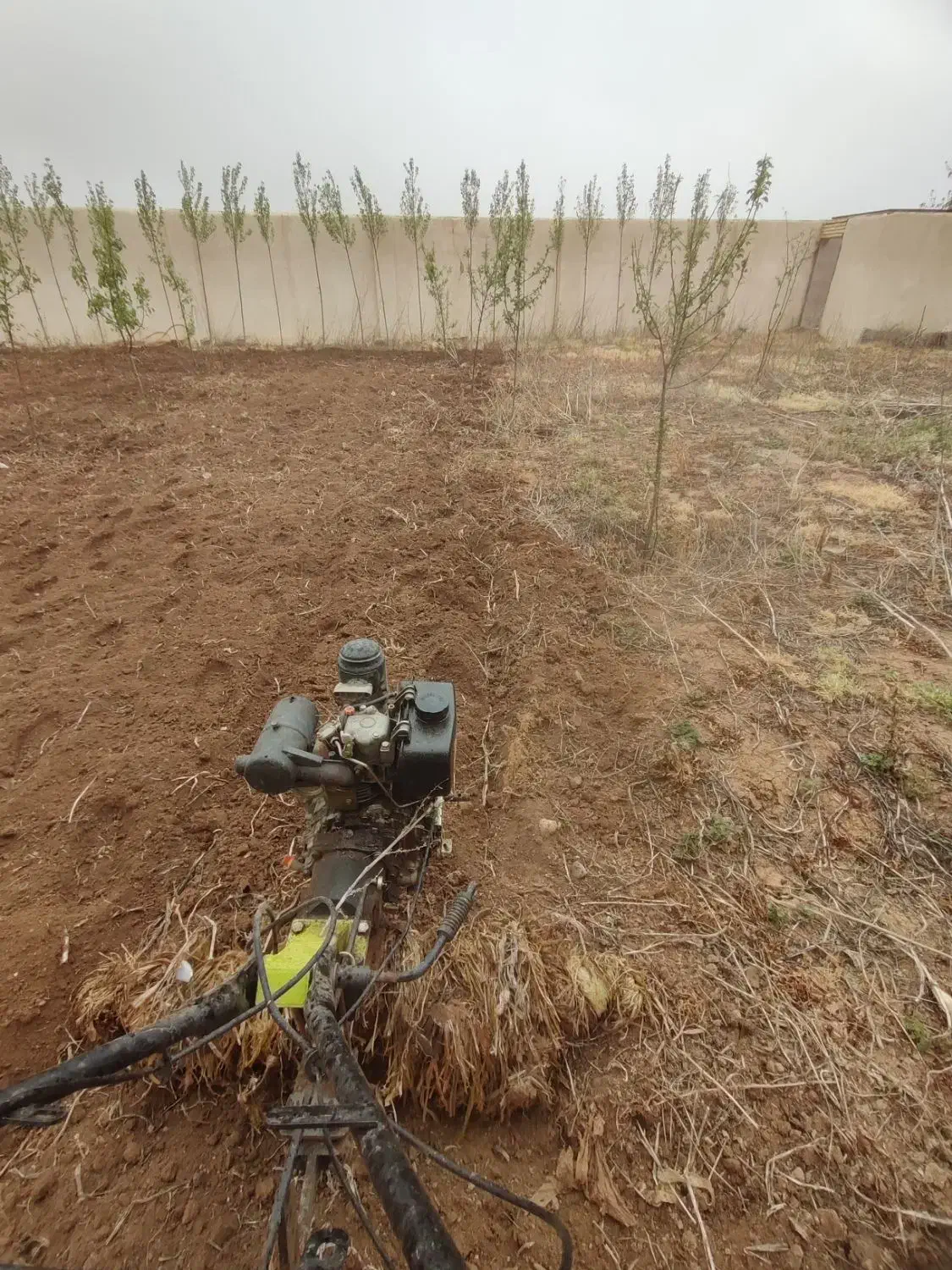 هرس اصولی درختانوشخم درختان توسط دانشجوباغبانی|خدمات باغبانی و درختکاری|مشگین شهر, |دیوار