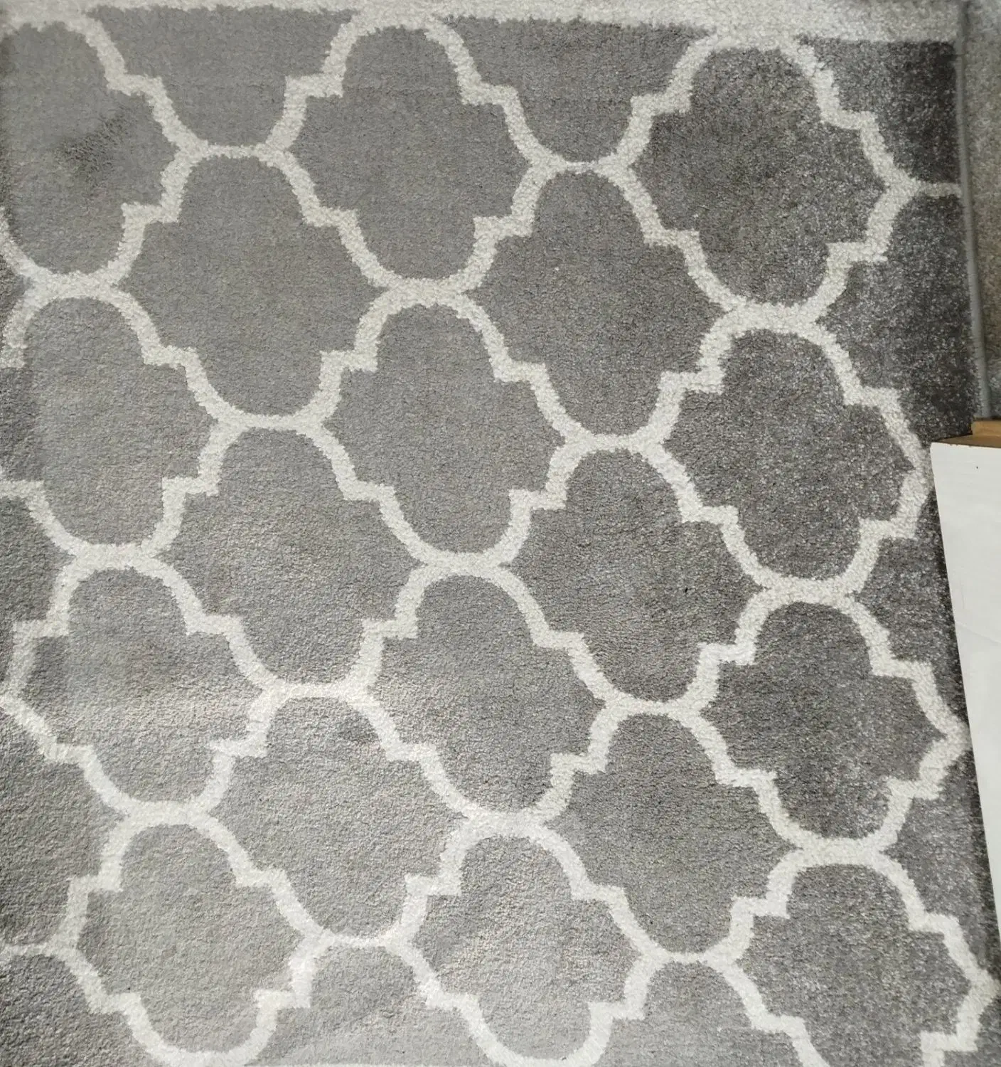 پالاز موکت|موکت|خورموج, |دیوار