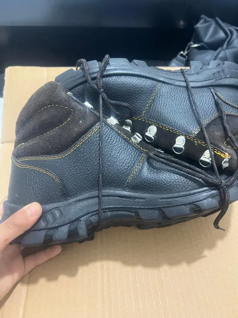 کفش کار|کیف، کفش، کمربند|آمل, |دیوار