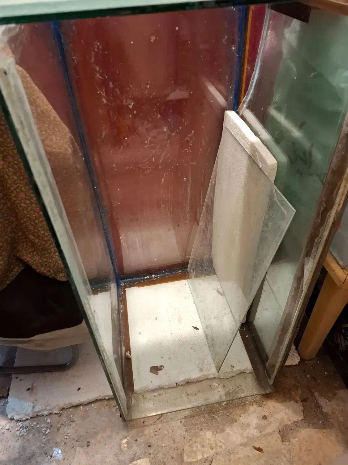 آکواریوم شیشه خم|ماهی|چالوس, |دیوار