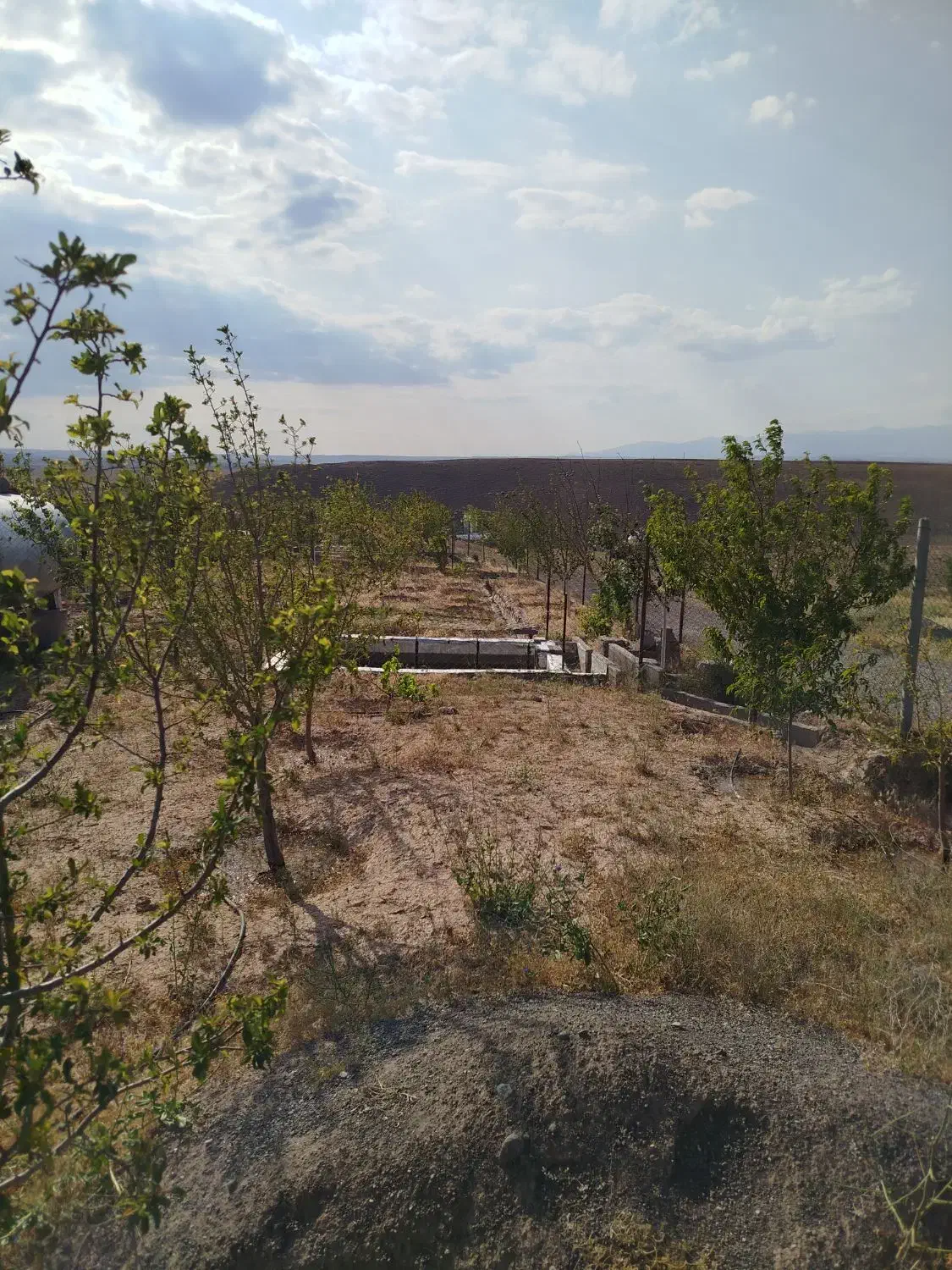 باغ 500متری جاده ترک سه کیلومتری شهر|فروش خانه و ویلا|میانه, |دیوار