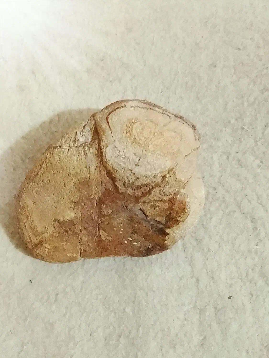 سنگ|جواهرات|شیراز, دروازه اصفهان|دیوار