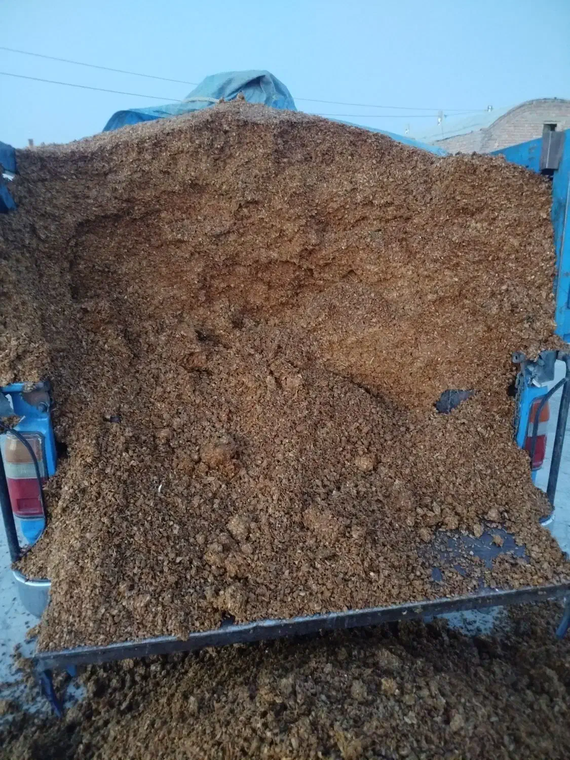 تفاله سیب و تفاله چغندر قند|لوازم جانبی حیوانات|فیروزآباد (آذربایجان), |دیوار