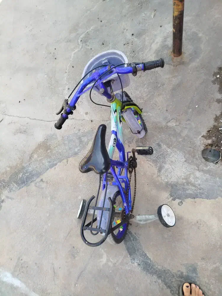 دوچرخه ۱۲|دوچرخه، اسکیت، اسکوتر|باغ ملک, |دیوار