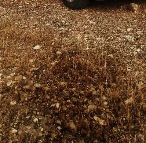 زمین ۸۴متر  جانبازان ۶دانگ|فروش زمین و ملک کلنگی|اندیمشک, |دیوار