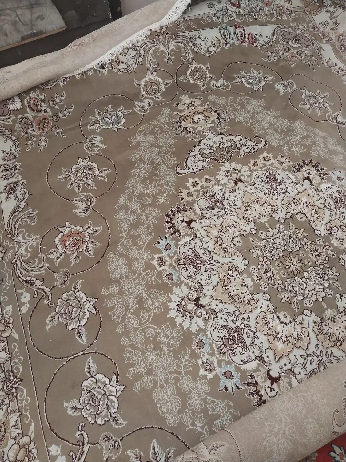 فرش ۱۲ متری|فرش|تربت‌حیدریه, طالقانی|دیوار