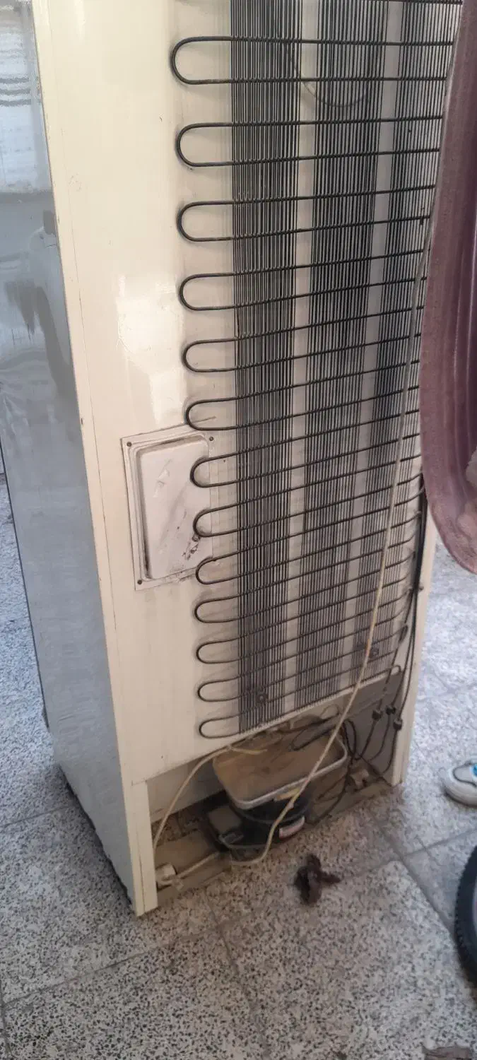 یخچال  امرسان|یخچال و فریزر|برازجان, |دیوار