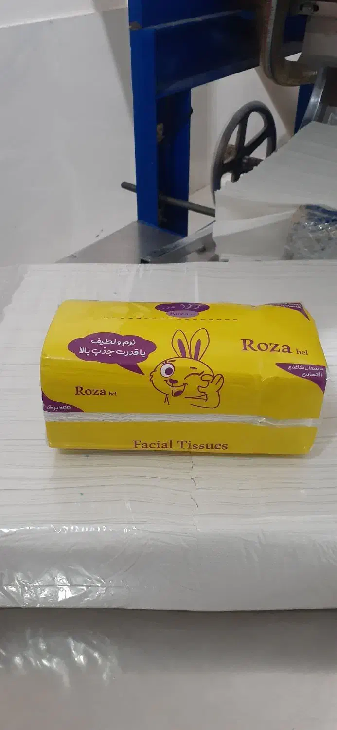 دستمال کاغذی|مواد شوینده و دستمال کاغذی|سبزوار, چهارراه فرودگاه|دیوار