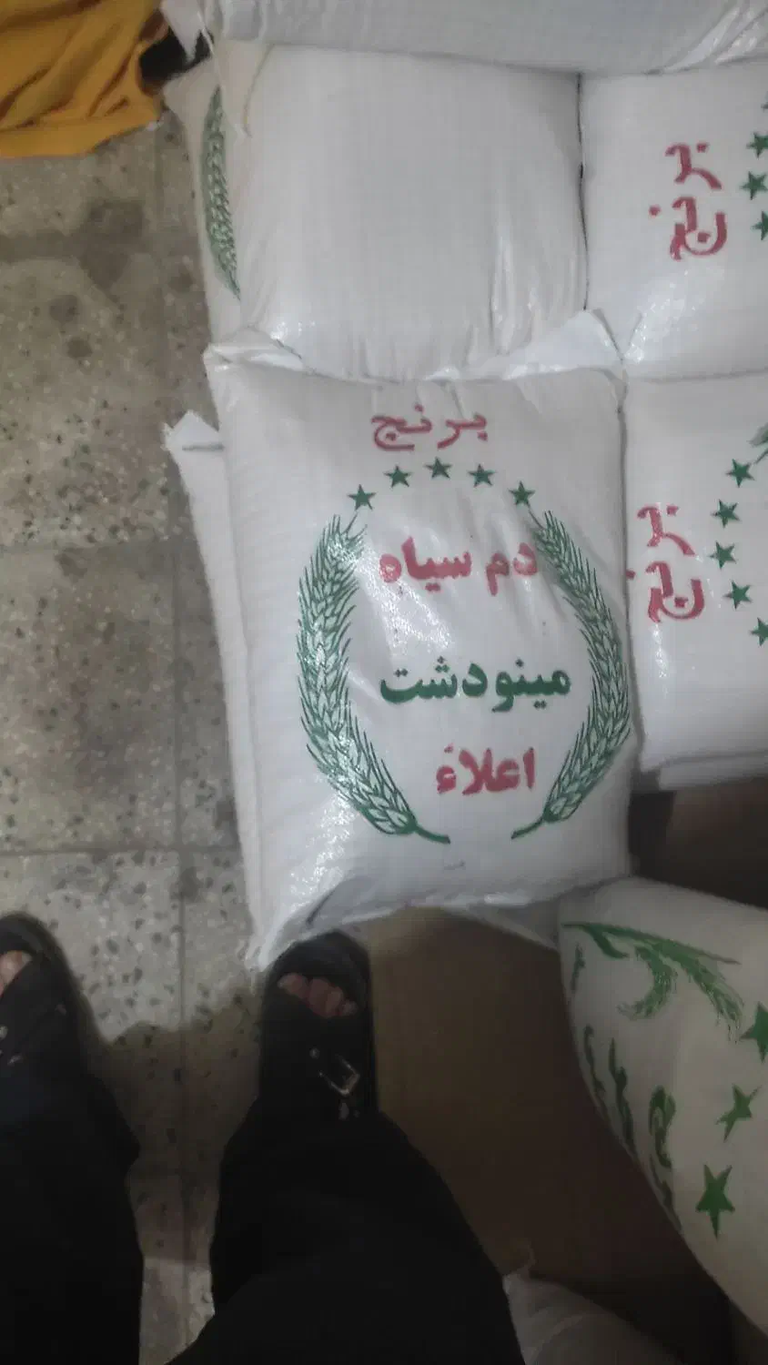 فروش  برنج  ایرانی|خوردنی و آشامیدنی|تربت‌حیدریه, مورشک|دیوار