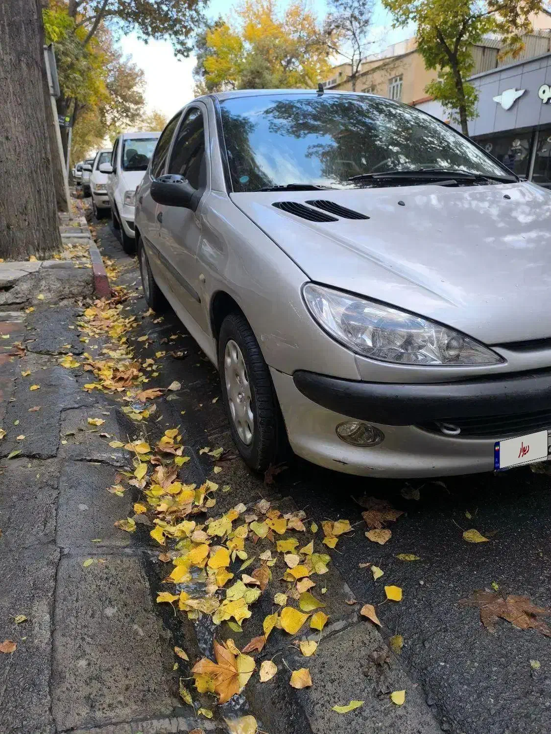 206مدل84|خودرو سواری و وانت|سنندج, |دیوار