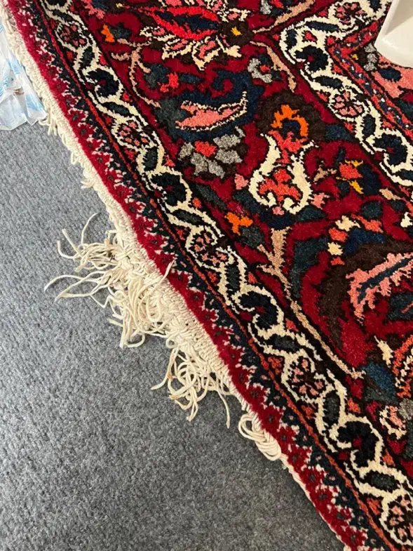 فرش دست باف سامون|فرش|اصفهان, کوی گلزار|دیوار