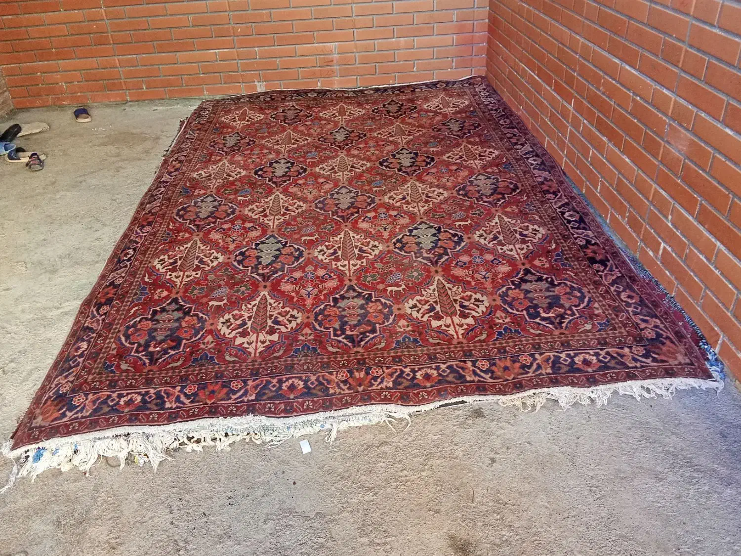 ده تخته فرش ۶ متری دستباف صادراتی|فرش|لردگان, |دیوار