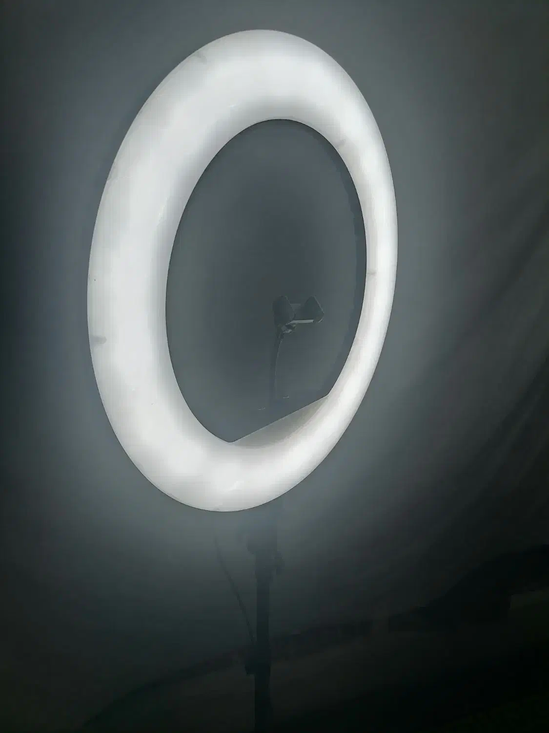 رینگ لایت|دوربین عکاسی و فیلمبرداری|یزد, |دیوار