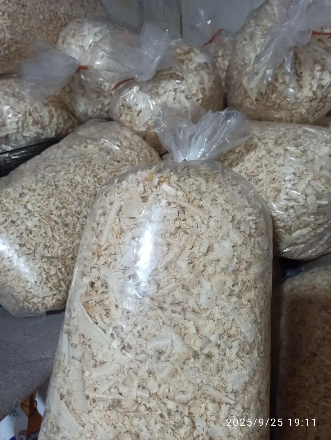 پخش پوشال و اره خاک با کمترین قیمت|عمدهفروشی|رشت, حمیدیان|دیوار