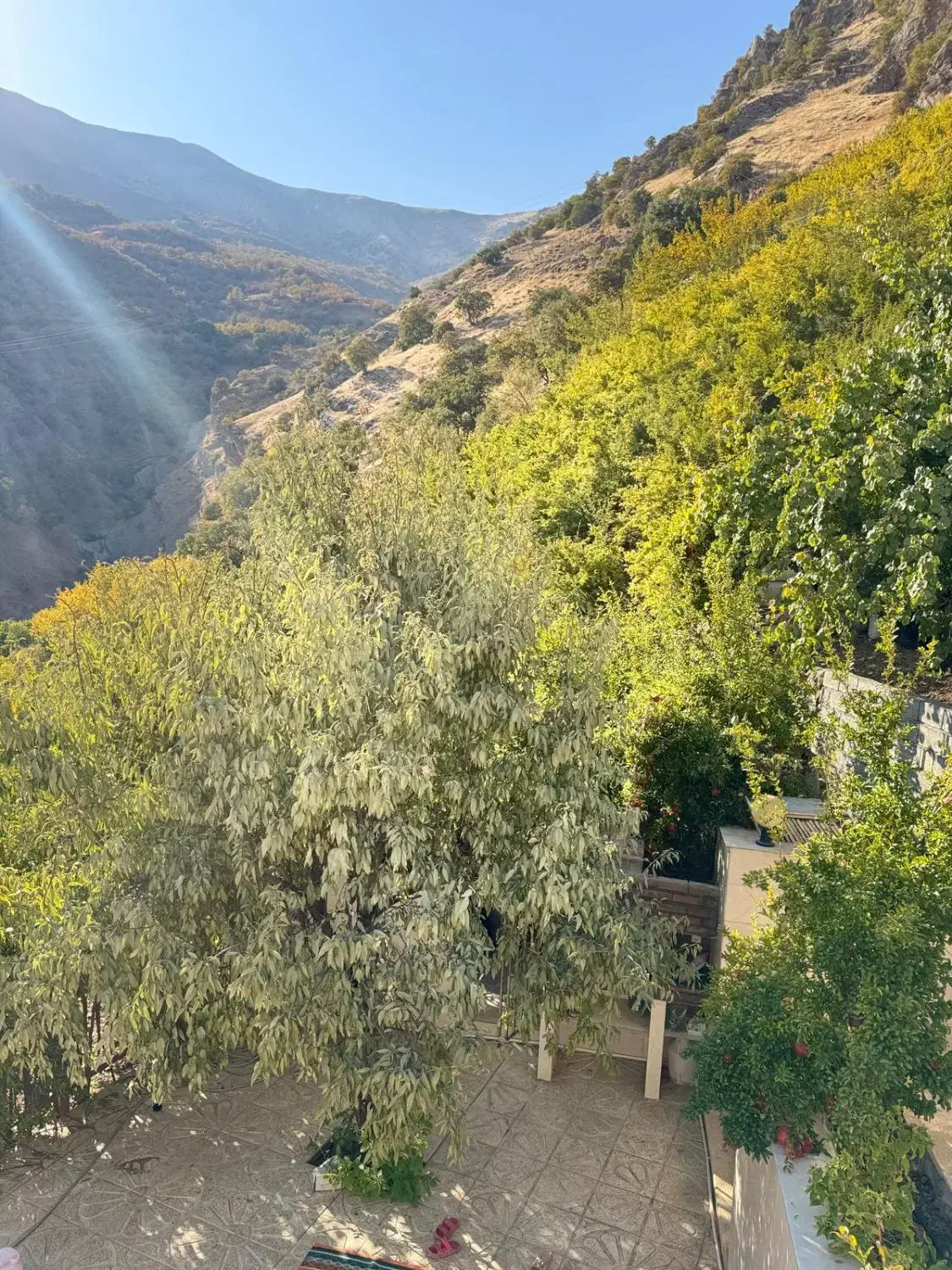 شهرستان پاوه روستای دشه سویت اجاره ای|اجارهٔ کوتاهمدت آپارتمان و سوئیت|پاوه, |دیوار