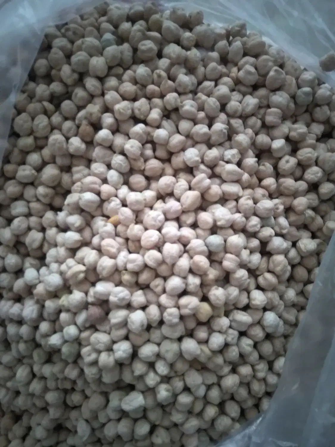 نخودزودپز|خوردنی و آشامیدنی|شاهرود (اردبیل), |دیوار