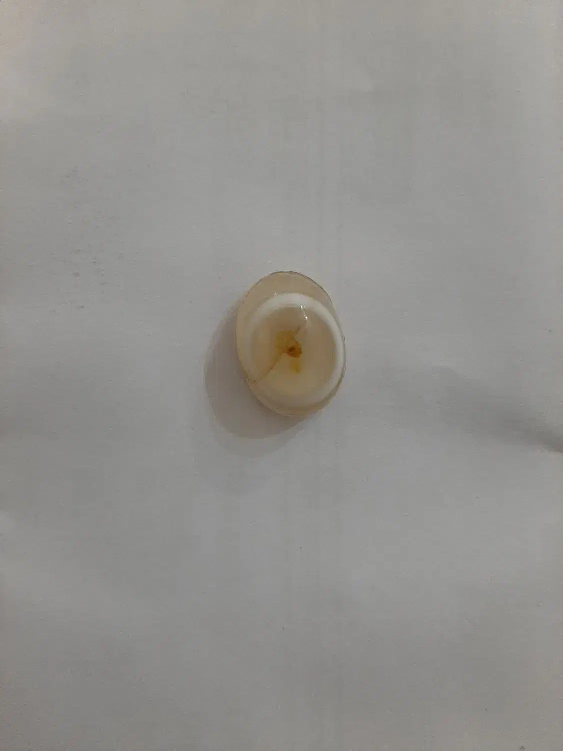 باباقوری|کلکسیون اشیاء عتیقه|کرج, اصفهانیها|دیوار