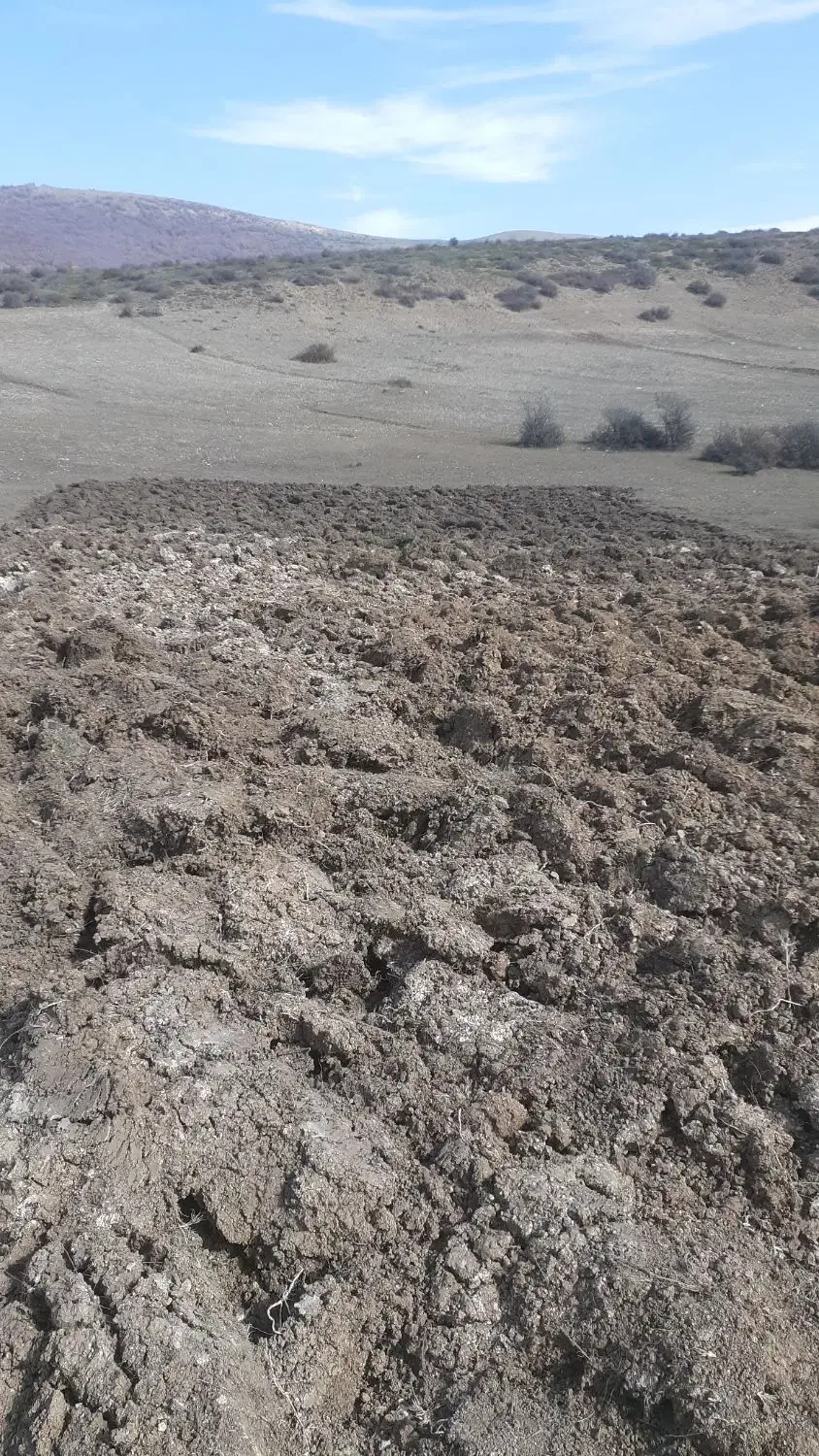 فروش یک قطعه زمین|فروش زمین و ملک کلنگی|دیلمان, |دیوار