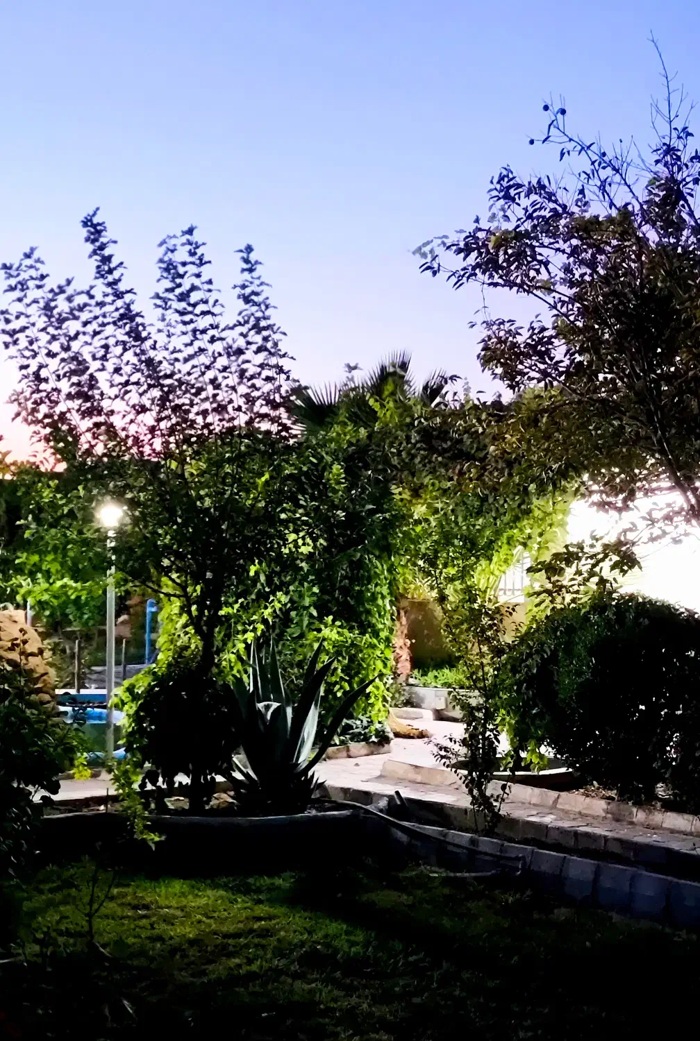 اجاره باغ و ویلا|اجارهٔ کوتاهمدت ویلا و باغ|ابریشم, |دیوار