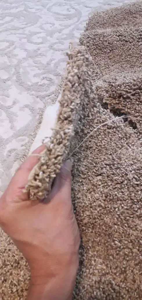 موکت پرز بلند تافینگ ظریف مصور|موکت|اهواز, گلستان|دیوار