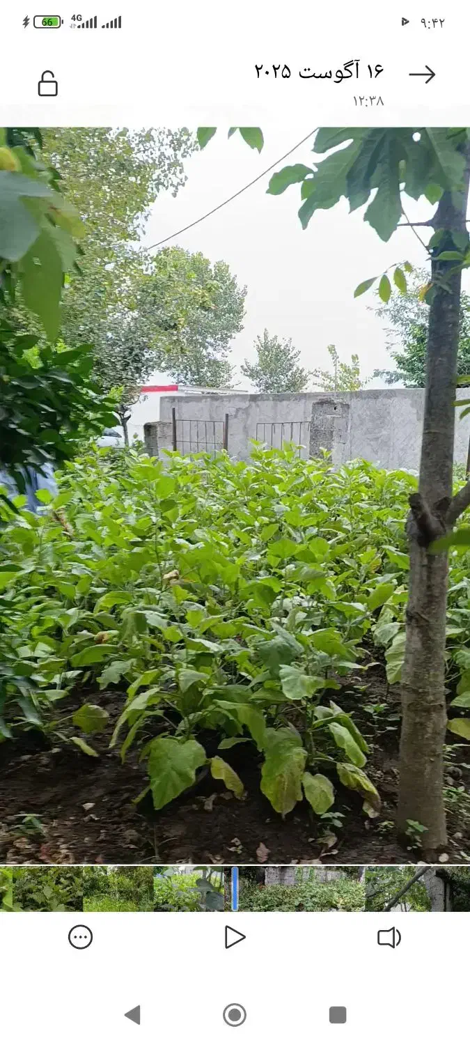 زمین مسکونی ویلایی|فروش زمین و ملک کلنگی|اردبیل, |دیوار