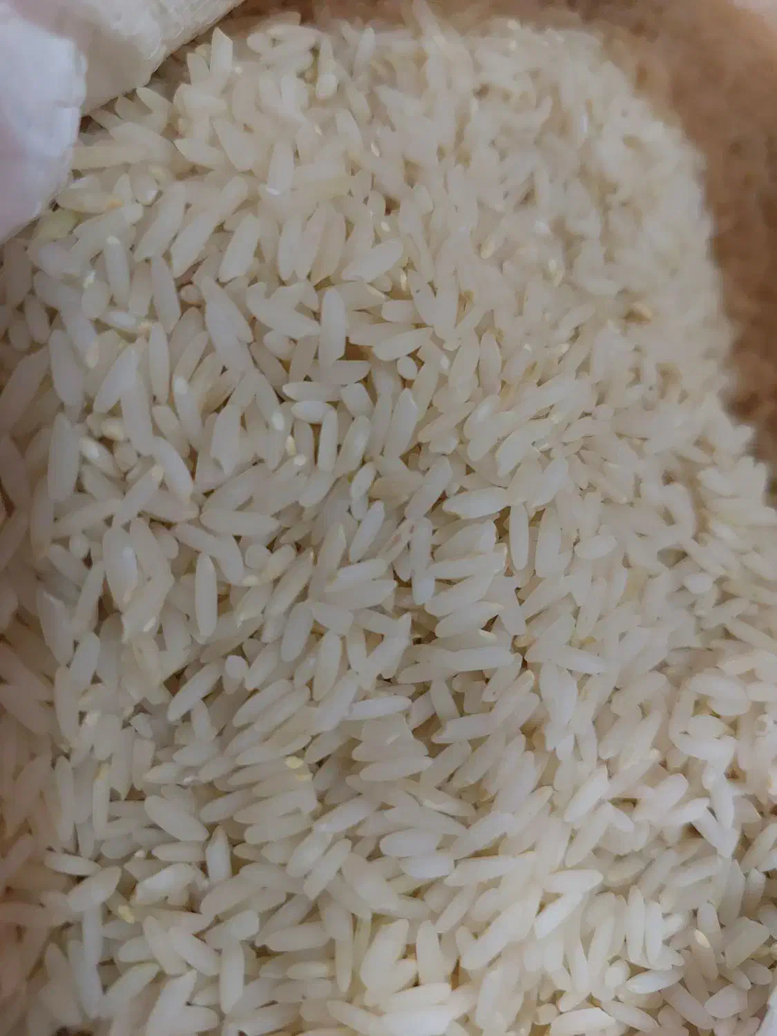 برنج علی کاظمی میانه ارگانیک|خوردنی و آشامیدنی|تبریز, |دیوار