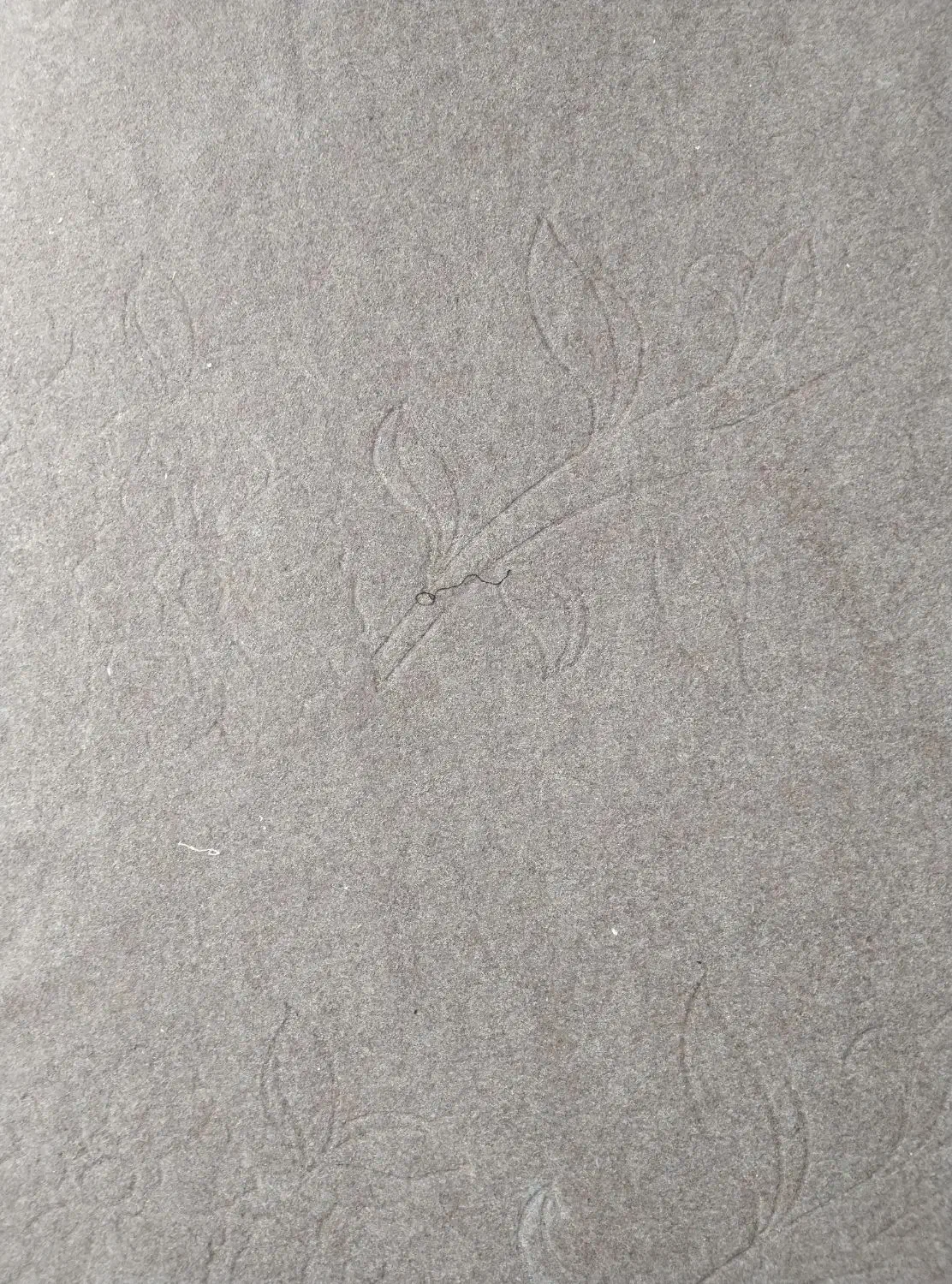 ۲تکه موکت ۶متری|موکت|صومعه‌سرا, |دیوار