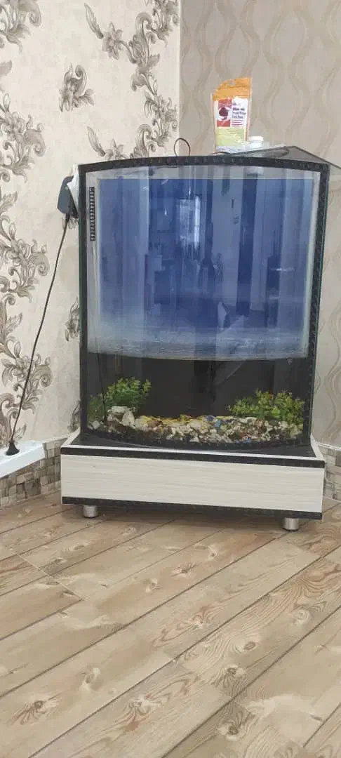 اکواریوم با وسیلهاش|ماهی|بروجرد, |دیوار