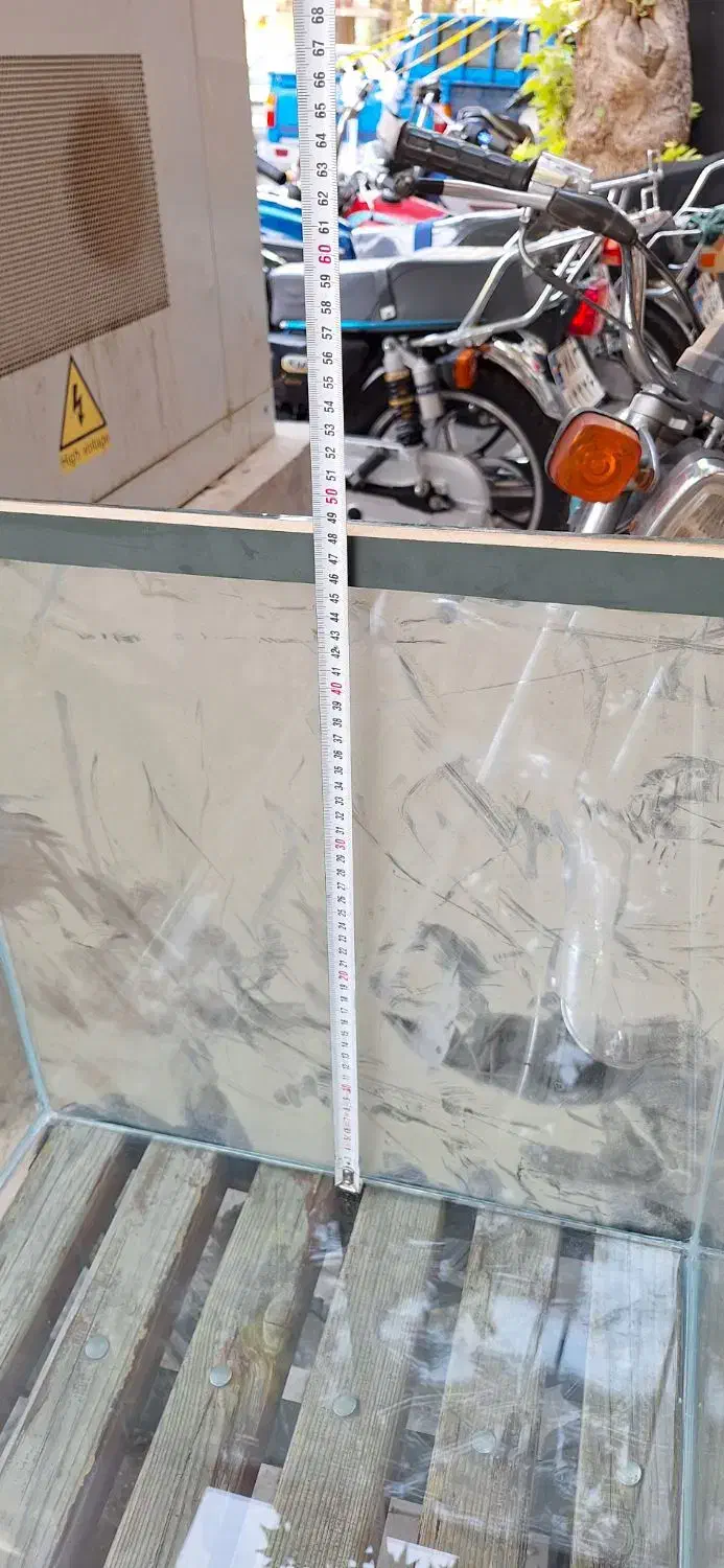 آکواریوم|ماهی|بجنورد, |دیوار