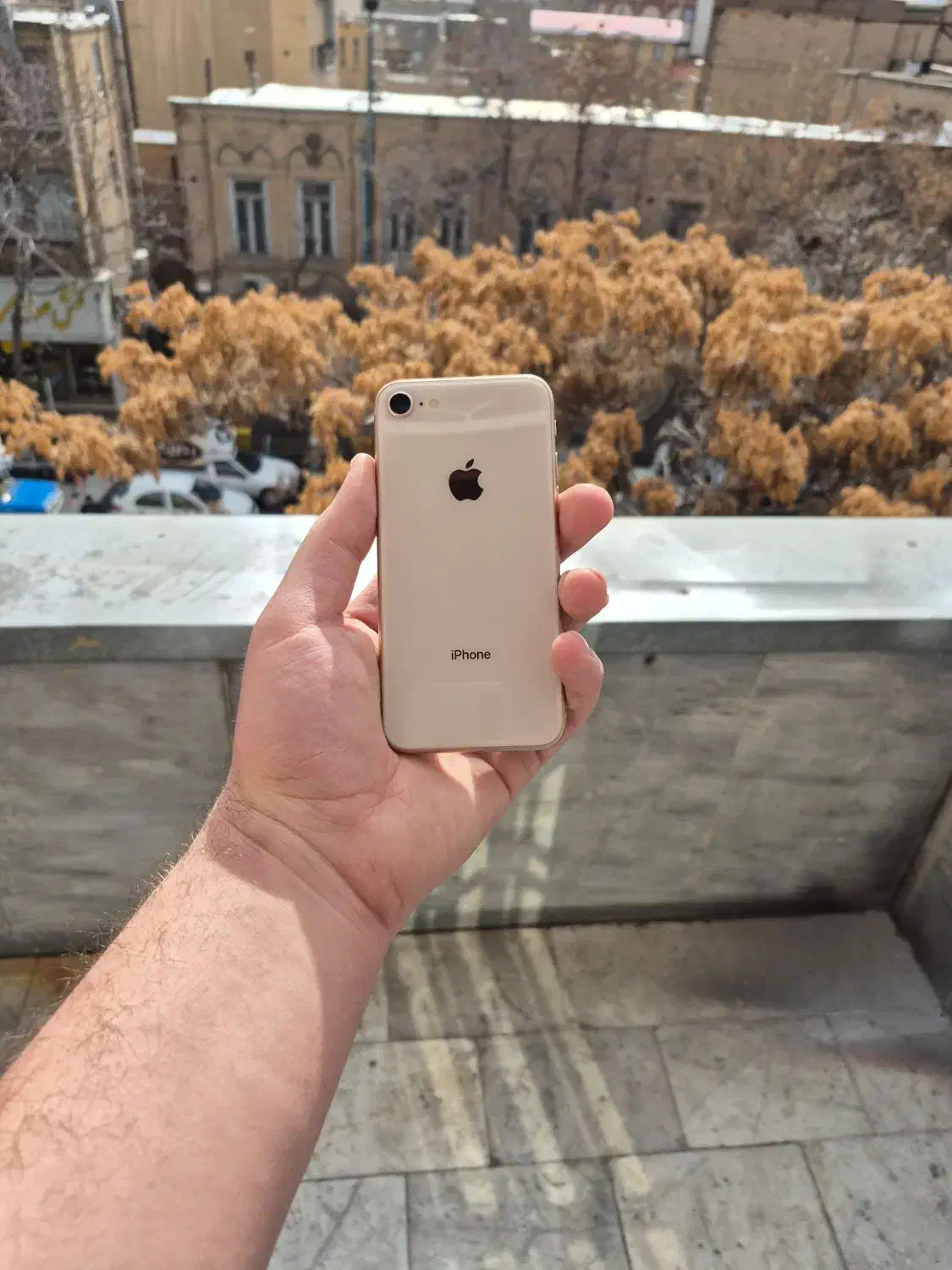 iPhone 8|موبایل|تبریز, |دیوار