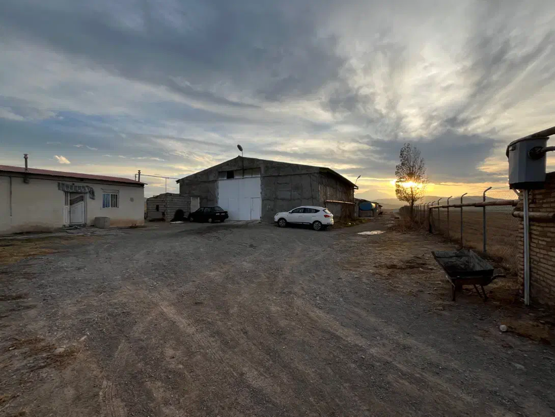 مرغداری ۳۰ هزار قطعه|فروش دفتر صنعتی، کشاورزی، تجاری|اردبیل, |دیوار