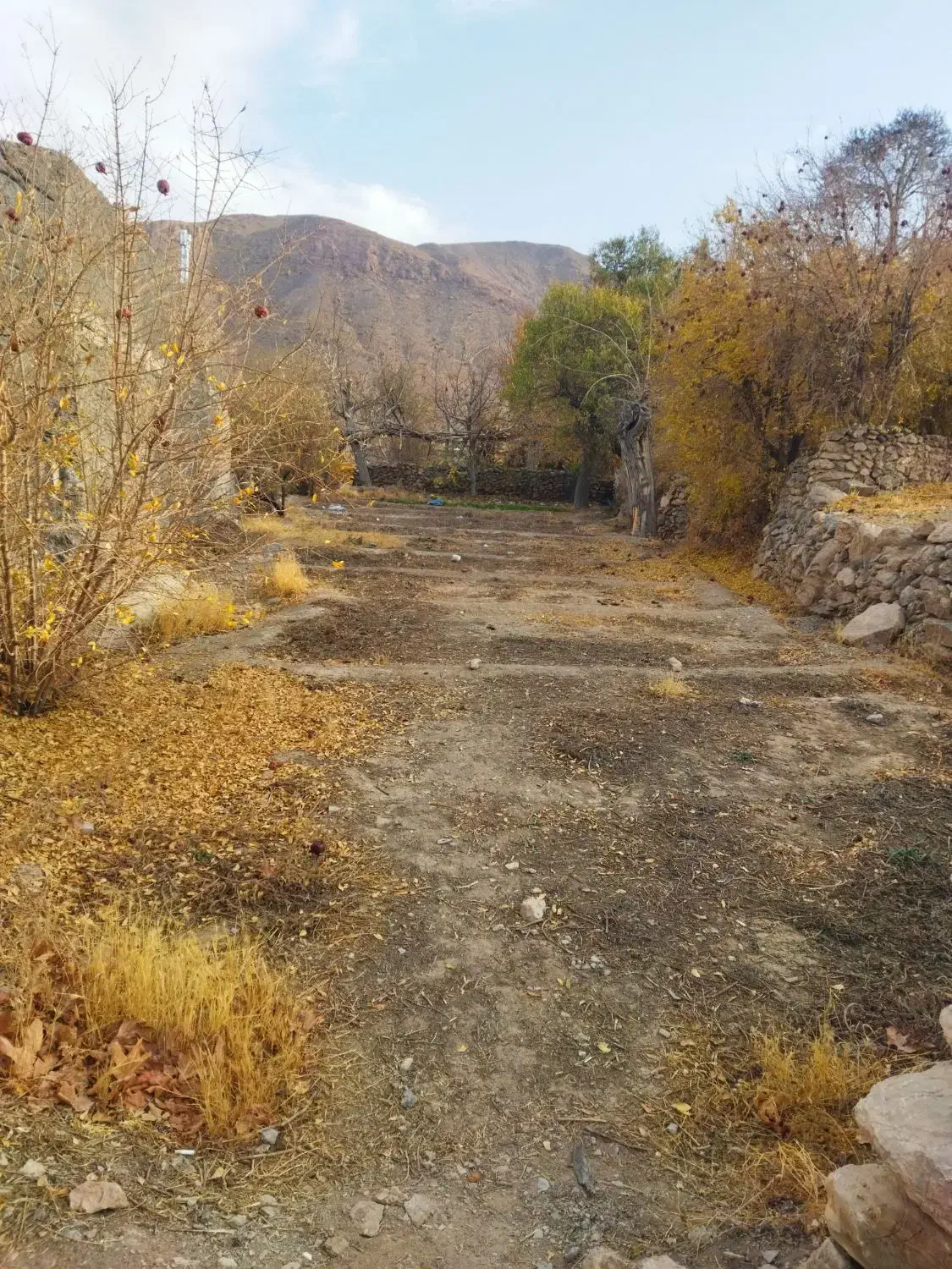 زمین ۳۰۰ متری بخش خضرآباد روستایی دربرز|فروش زمین و ملک کلنگی|خضر آباد, |دیوار